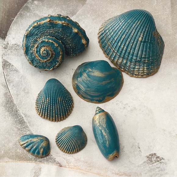 7 Striking Natural Shells For Your Beach Decor - Picture 4 of 4